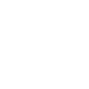 Wings flying icon