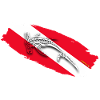 Plongée Shark