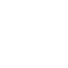 Rojin