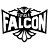 Fly As A Falcon
