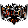 Fly As A Falcon - Phoenix