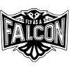 Fly As A Falcon - Retro