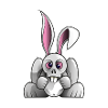 Lapix