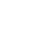 Three watchful Dobermans dogs