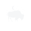 Bison in the moonlight