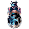 Cyber Biker Reflection