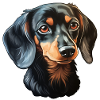 Dachshund Dachshund Head