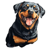 Rottweiler