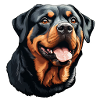 Rottweilerkopf