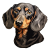 Dackel oder Dachshund