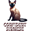 Siamese cat lover