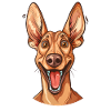 Podenco Canario | Cartoon Artwork