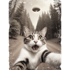 Funny Cat Selfie Alien Spaceship