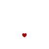 Professeur de judo