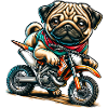 Carlin Motocross Moto Biker Design
