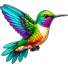 Kolibri