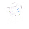 Line Dancing