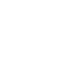 Beer Palm Trees Beach
