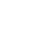 Beer Palm Trees Island Vacation