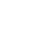 Beer Holiday Palms