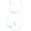 Cat Skeleton Halloween