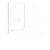 Cat Scan