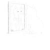 What Cat