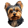 Yorkshire Terrier Head
