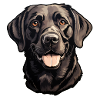 Labrador Retriever Head