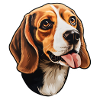 Beagle Head