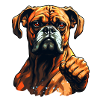 Boxer funny