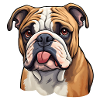 Bulldog head