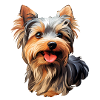 Yorkshire Terrier mignon