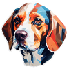 Beagle Head