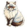Persian cat