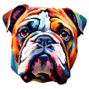 Bulldogge bunt