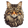 Maine Coon Katzenkopf