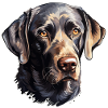 Labrador Retriever cute