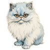 Persian cat