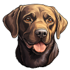 Labrador Retriever Head Panting