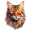 Maine Coon Cat Head