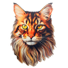 Maine Coon Cat Head