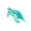 Turtle swims in space