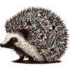 Igel