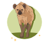 Hyena Hyena Spotted Hyena Gift