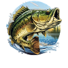 Bass Fish