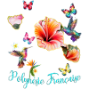 French Polynesia Hummingbird Hibiscus
