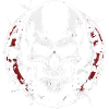 Totenkopf / Skull