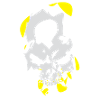 Skull 08