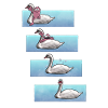 Swanrider Comic Strip